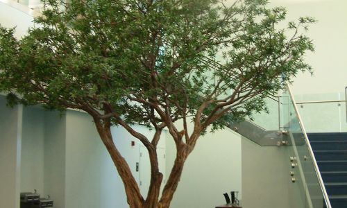 Árbol artificial Acacia